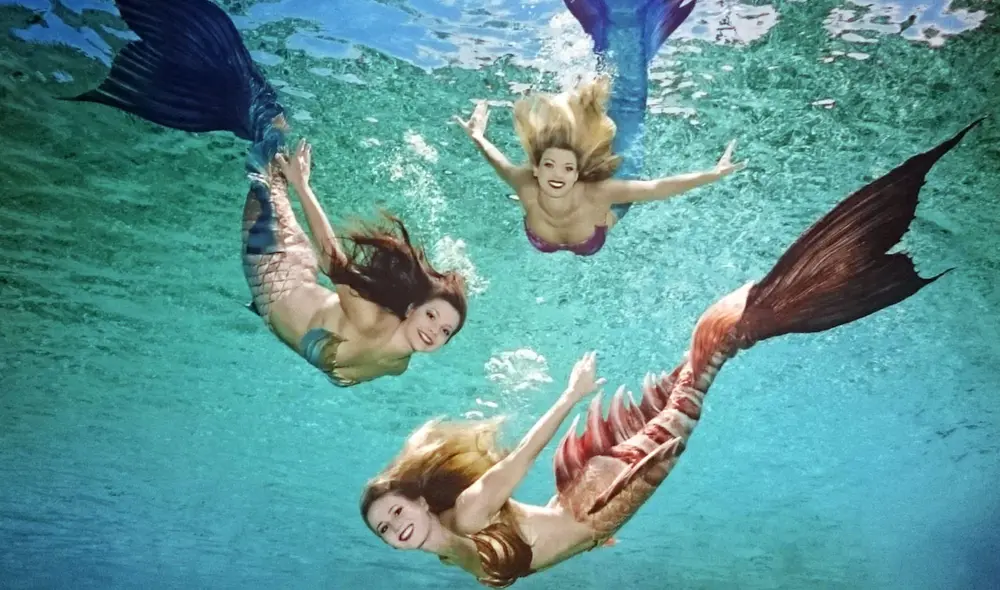 Soñar con sirenas es motivo para preocuparse, ya que estos seres representan la mala suierte en el mundo onírico. Foto: sirenasmediterraneanacademy