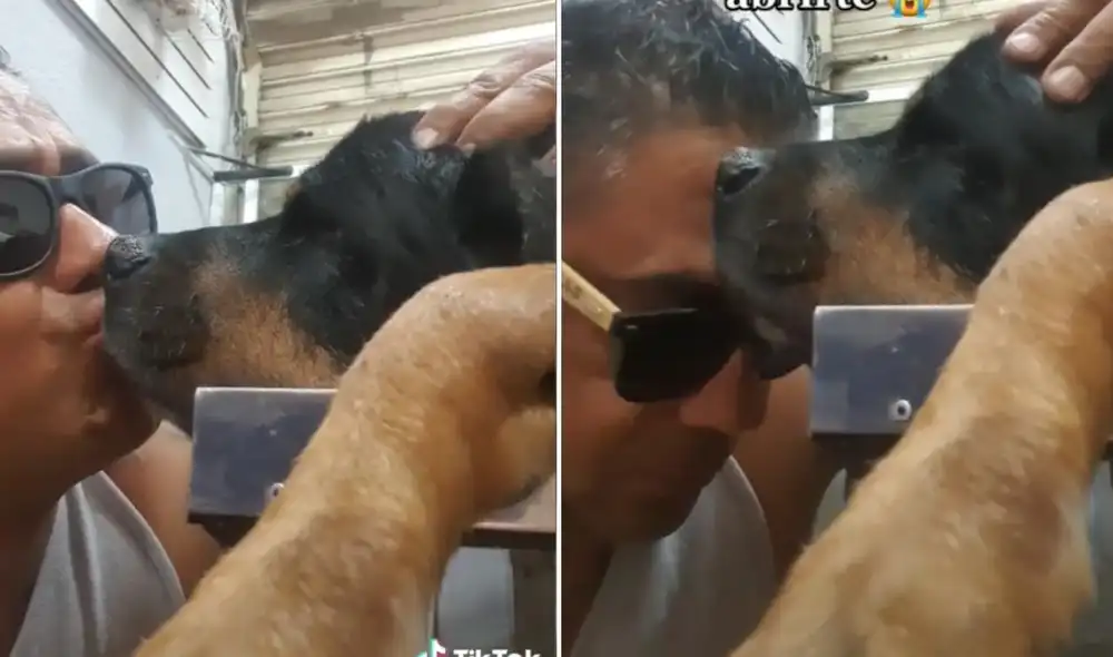 La viral escena compartida por el usuario Capitan (@capitan_sb1) logró obtener millones de reproducciones y miles de reacciones. Foto: captura de TikTok