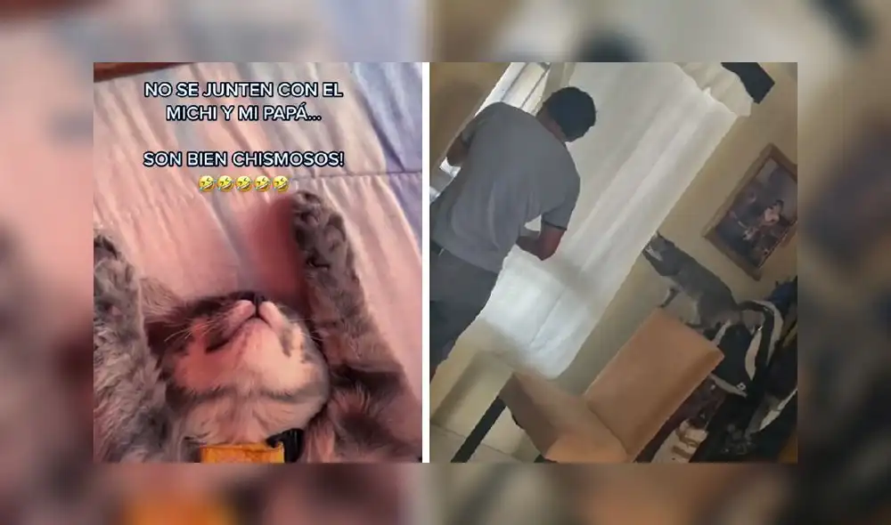 La escena consiguió más de 4 millones de reproducciones en la red social. Foto: TikTok