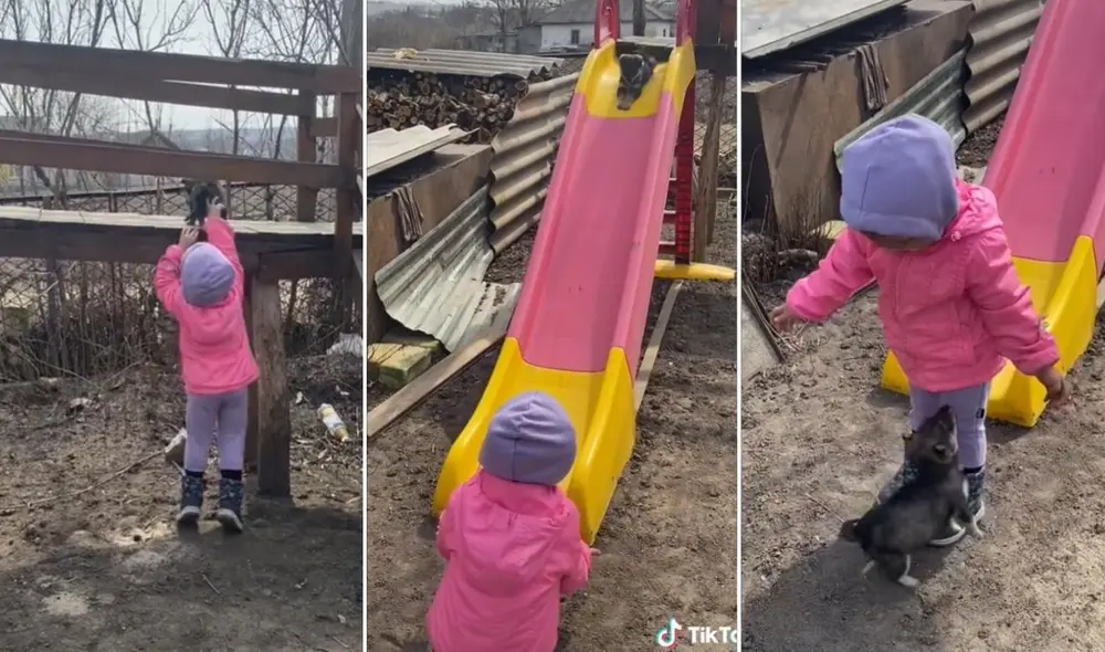 La viral escena compartida por Tanya Kokol (@tanyakokol) logró obtener millones de reproducciones y reacciones. Foto: captura de TIkTok La viral escena compartida por Tanya Kokol (@tanyakokol) logró obtener millones de reproducciones y reacciones. Foto: captura de TIkTok