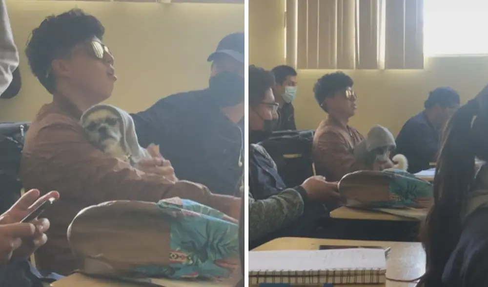 Miles de usuarios quedaron cautivados al ver esta escena. Foto: captura de TikTok Miles de usuarios quedaron cautivados al ver esta escena. Foto: captura de TikTok