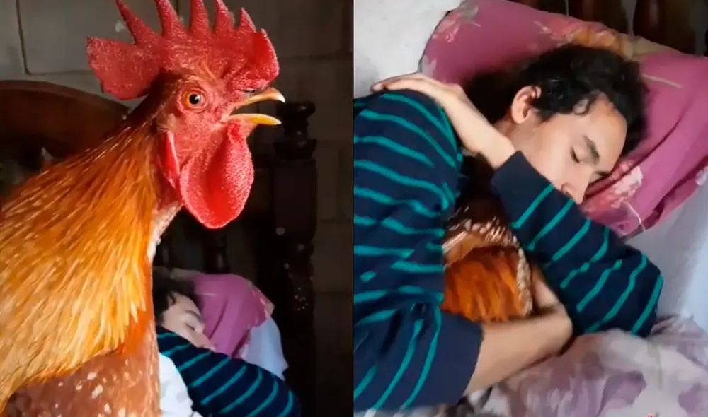 El clip viral cuenta con más de dos millones de visualizaciones. Foto: captura de TikTok El clip viral cuenta con más de dos millones de visualizaciones. Foto: captura de TikTok