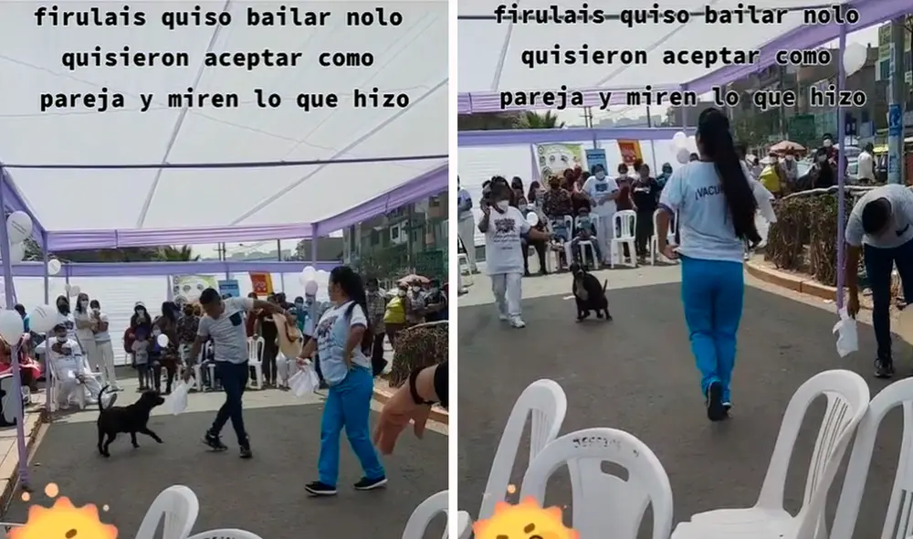 Al parecer, el perrito quiso llamar la atención de los bailarines de una inusual manera. Foto: captura de TikTok Al parecer, el perrito quiso llamar la atención de los bailarines de una inusual manera. Foto: captura de TikTok