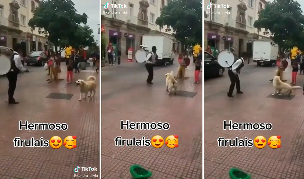El perrito sorprendió con su espectáculo callejero a los transeúntes. Foto: captura de TikTok El perrito sorprendió con su espectáculo callejero a los transeúntes. Foto: captura de TikTok