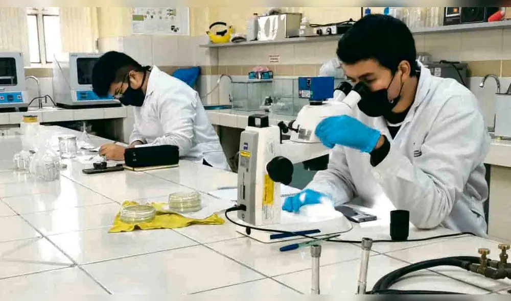 Con la reforma universitaria se alentó la investigación en las casas de estudios.