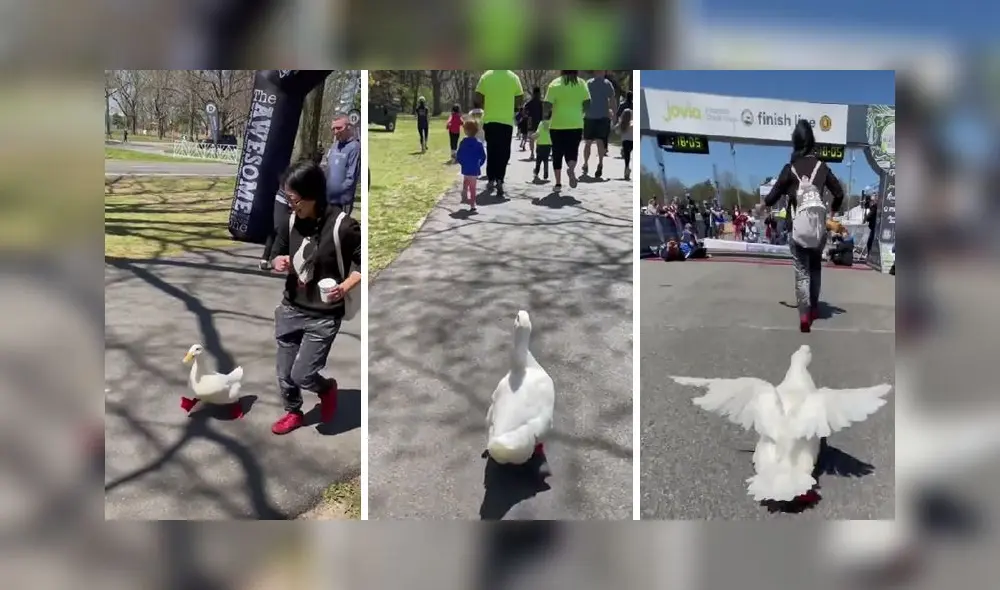 El clip obtuvo más de 150.000 reproducciones en la red social. Foto: captura de TikTok