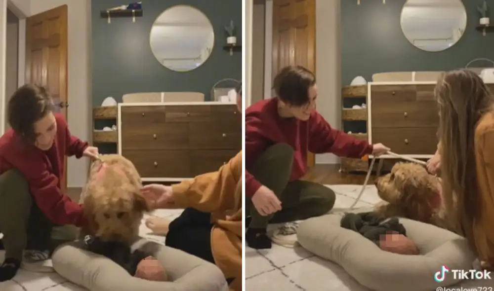 Miles de usuarios quedaron sumamente conmovidos con esta escena. Foto: captura de TikTok Miles de usuarios quedaron sumamente conmovidos con esta escena. Foto: captura de TikTok