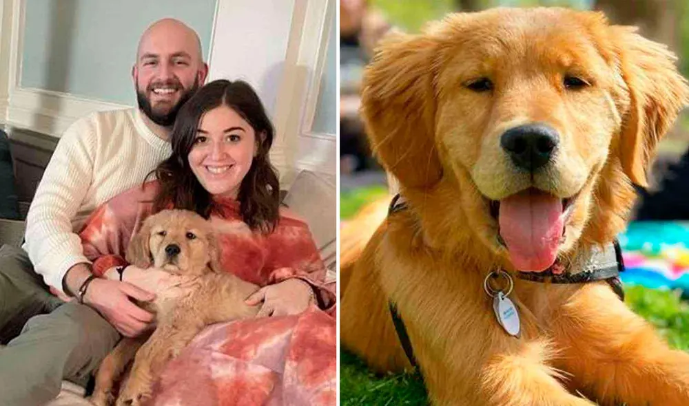 Miles de usuarios han quedado conmovidos con esta tierna historia. Foto: captura de Facebook Miles de usuarios han quedado conmovidos con esta tierna historia. Foto: captura de Facebook