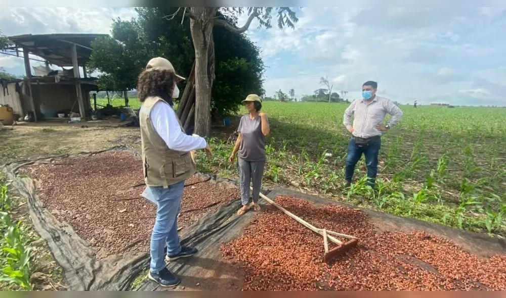 Técnicos recogen información de zonas con agua subterránea en San Martín. Foto: Goresam. Técnicos recogen información de zonas con agua subterránea en San Martín. Foto: Goresam.