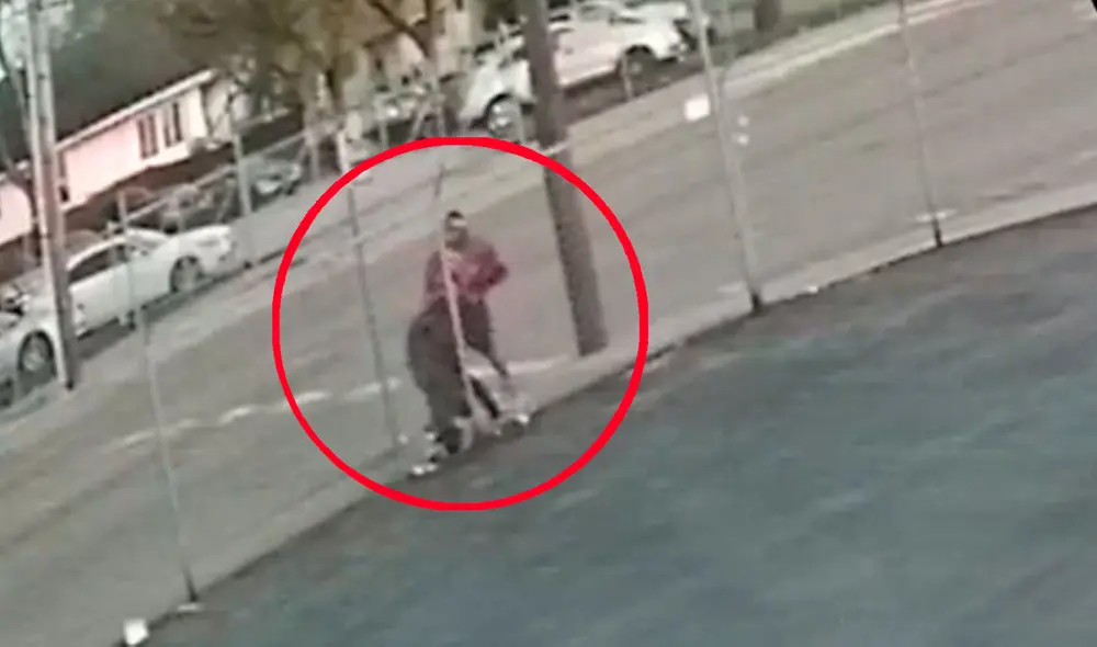 El primer movimiento de la víctima fue aferrarse instintivamente a una señal de tránsito y una reja. Foto y video: captura-News5