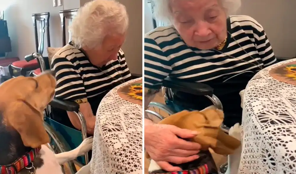 Miles de usuarios han quedado impresionados al ver esta estremecedora escena. Foto: captura de TikTok