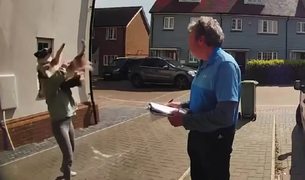 La perrita pudo salvarse de un grave accidente gracias a la rápida reacción de su ama. Foto: captura de TikTok La perrita pudo salvarse de un grave accidente gracias a la rápida reacción de su ama. Foto: captura de TikTok