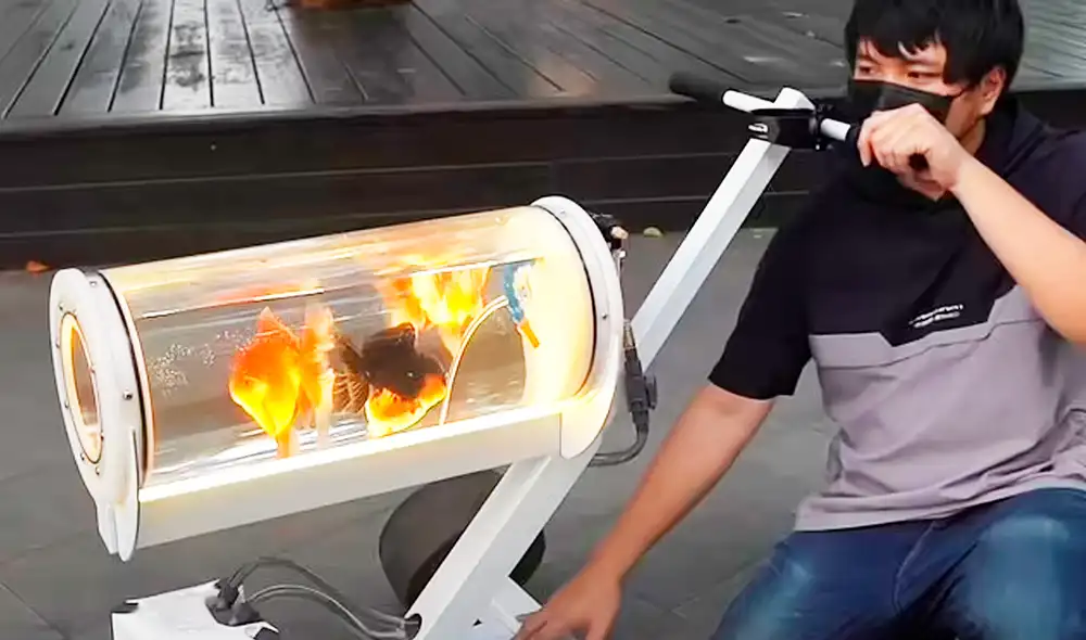 Xiaojie lleva a sus tres peces dorados a dar un paseo por Taipéi a bordo del cochecito. Foto: captura de YouTube