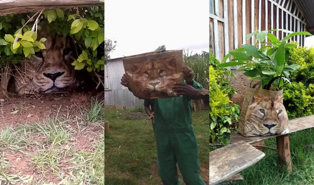 La historia es viral en Facebook y otras redes sociales. Foto: Facebook