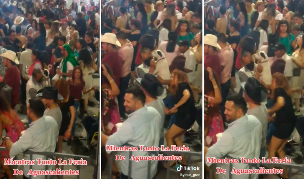 El hombre no tuvo mejor compañero de baile que su perro. Foto: captura de TikTok El hombre no tuvo mejor compañero de baile que su perro. Foto: captura de TikTok