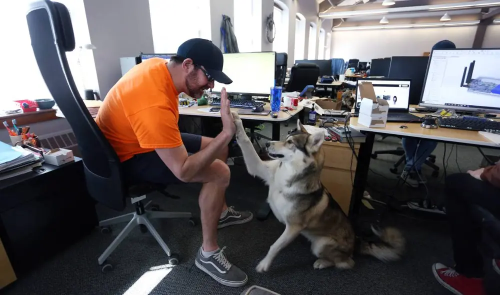 En compañía de su fiel amigo. Un empleado junto con su perro durante el horario laboral. Foto: AFP