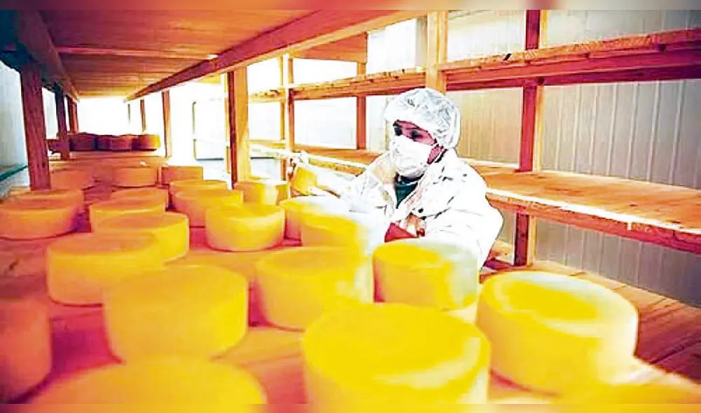Producción. Se espera producir mejores quesos. Foto: La República Producción. Se espera producir mejores quesos. Foto: La República