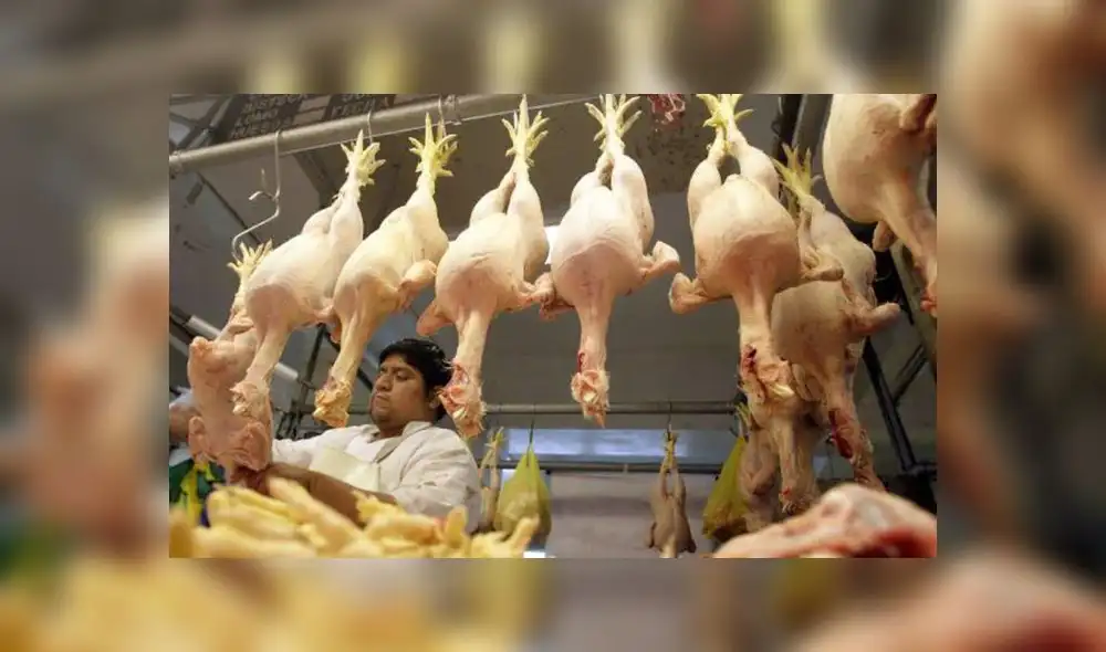 El precio del pollo ha vuelto a incrementarse y oscilaría entre S/8 y S/9 el kilo. Foto: difusión