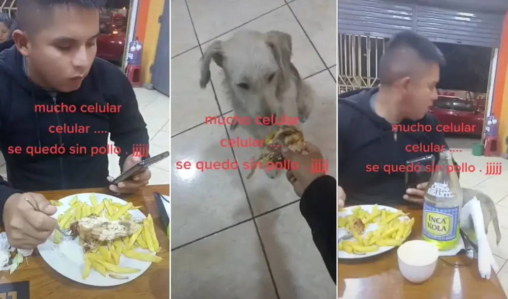 La viral escena compartida por Luis (@luisfernandocaballero_) logró obtener miles de reproducciones y reacciones. Foto: captura de TikTok La viral escena compartida por Luis (@luisfernandocaballero_) logró obtener miles de reproducciones y reacciones. Foto: captura de TikTok