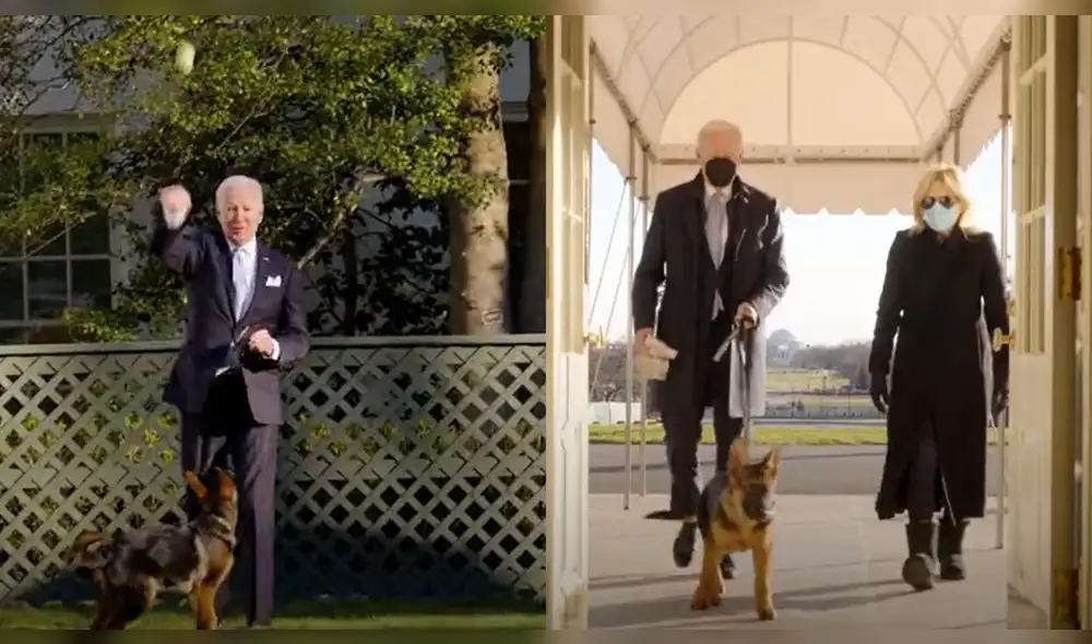 El presidente disfruta del tiempo que pasa con su mascota. Foto: captura de Twitter El presidente disfruta del tiempo que pasa con su mascota. Foto: captura de Twitter