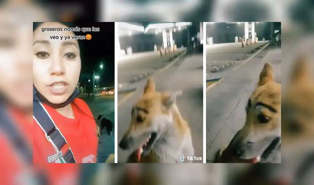 El clip viral obtuvo alrededor de 3,1 millones de 'me gusta'. Foto: captura de TikTok