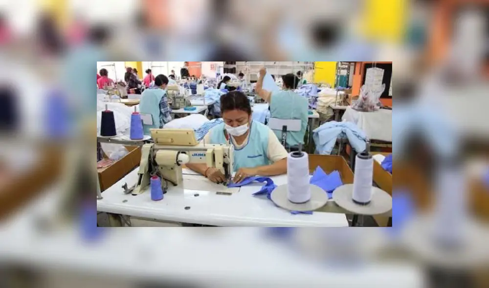 Se debería brindar mejores créditos, asesoramiento de comercialización, entre otros. Foto: Andina.