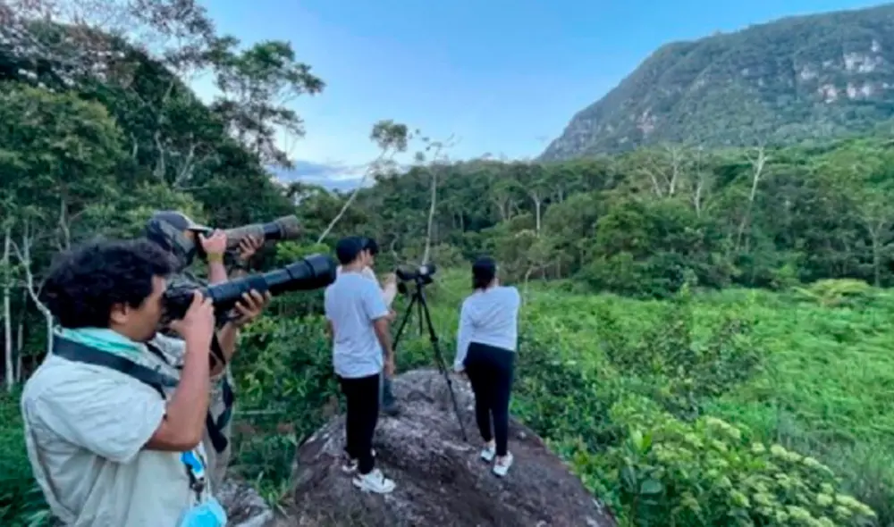 El año pasado nuestro país se coronó campeón mundial, con 1.361 especies de aves registradas. Foto: Gore San Martín El año pasado nuestro país se coronó campeón mundial, con 1.361 especies de aves registradas. Foto: Gore San Martín