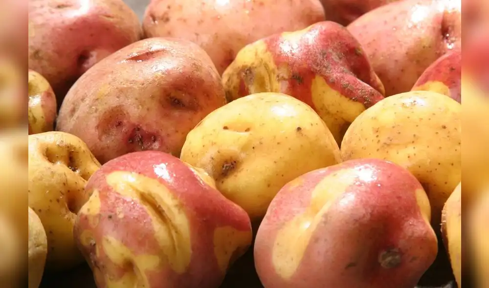 Se otorgó un plazo de 30 días al vecino país para levantar las restricciones señaladas y garantizar el normal desarrollo de las importaciones. Foto: Andina/difusión Se otorgó un plazo de 30 días al vecino país para levantar las restricciones señaladas y garantizar el normal desarrollo de las importaciones. Foto: Andina/difusión