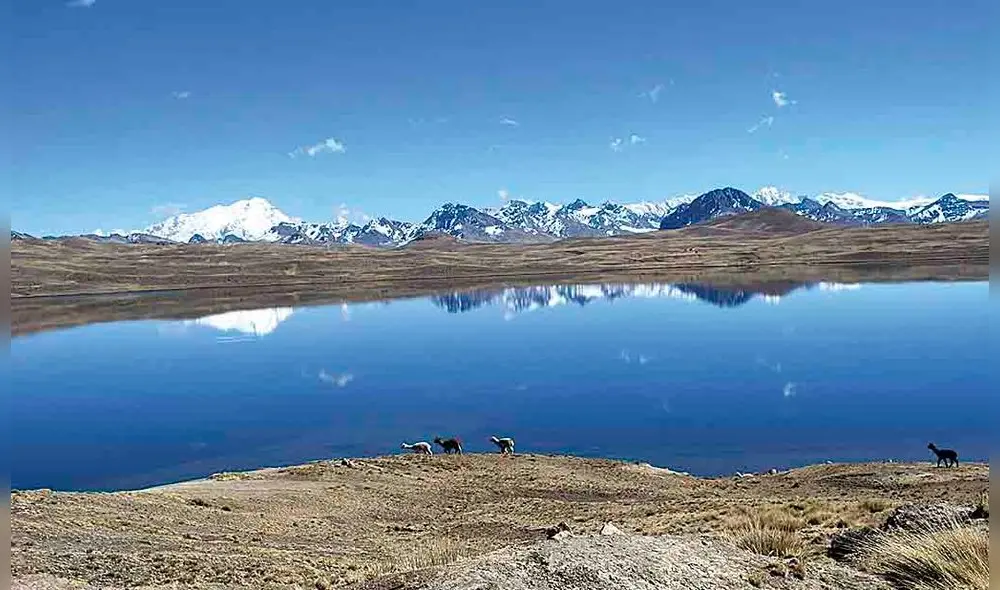 Glaciares. Reducen la vulnerabilidad de las especies y ecosistemas frente al cambio climático. Foto: La República Glaciares. Reducen la vulnerabilidad de las especies y ecosistemas frente al cambio climático. Foto: La República