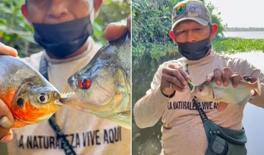 La viral escena compartida por Alicia (@alizdolanyi_) logró obtener más de medio millón de reproducciones en poco tiempo. Foto: captura de TikTok. La viral escena compartida por Alicia (@alizdolanyi_) logró obtener más de medio millón de reproducciones en poco tiempo. Foto: captura de TikTok.
