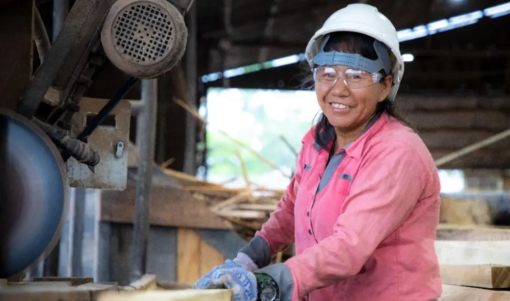 También destaca elaboración de madera plástica a base de compuestos reciclados y plantaciones de bambúes. Foto: Andina.