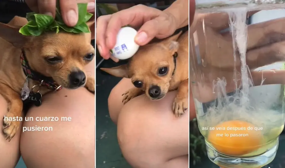 La viral escena compartida por el usuario @kyra.te03 logró obtener millones de reproducciones y reacciones. Foto: captura de TikTok