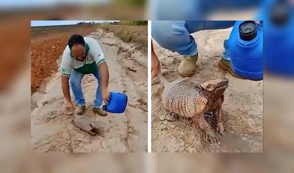 El clip sumó alrededor de 100.000 reacciones en la red social. Foto: captura de Facebook