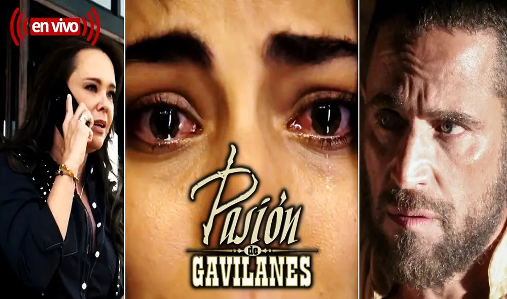 El adelanto de "Pasión de gavilanes 2", capítulo 58 dejó a los fans muy preocupados, debido al nuevo drama que se avecina para las Elizondo y los Reyes. Foto: composición/Telemundo