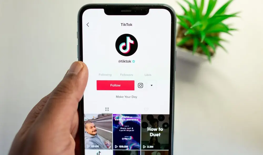 Este truco de TikTok funciona en Android, iOS y PC. Foto: Teknófilo