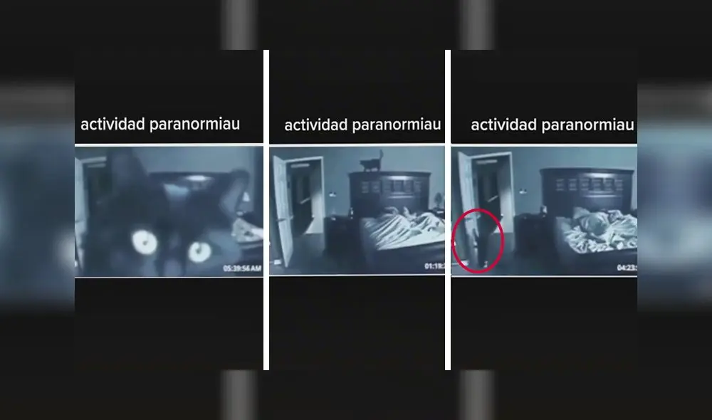El clip consiguió casi dos millones de visualizaciones en la red social. Foto: captura de TikTok El clip consiguió casi dos millones de visualizaciones en la red social. Foto: captura de TikTok