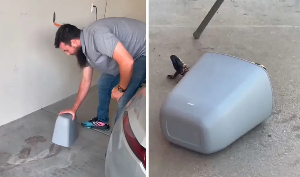 Un sujeto trató de proteger a su familia de un peligroso lagarto, por lo que ideó un improvisado plan. Foto: captura de YouTube Un sujeto trató de proteger a su familia de un peligroso lagarto, por lo que ideó un improvisado plan. Foto: captura de YouTube