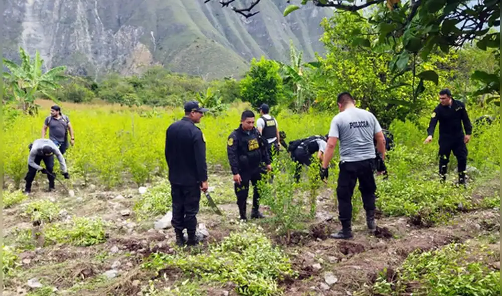 La zona en la que se halló estos sembríos de hoja de coca están ubicados a 2 horas en auto desde Celendín. Foto: Ministerio del Interior. La zona en la que se halló estos sembríos de hoja de coca están ubicados a 2 horas en auto desde Celendín. Foto: Ministerio del Interior.