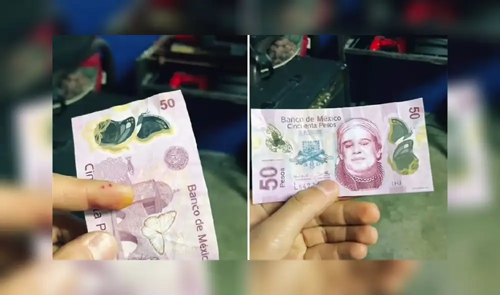 El clip superó el millón de reproducciones en la red social. Foto: captura de TikTok