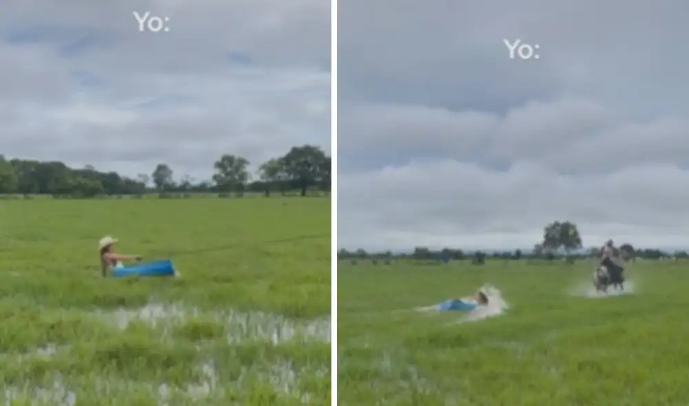 Miles de usuarios no han parado de reír con estas imágenes. Foto: captura de TikTok