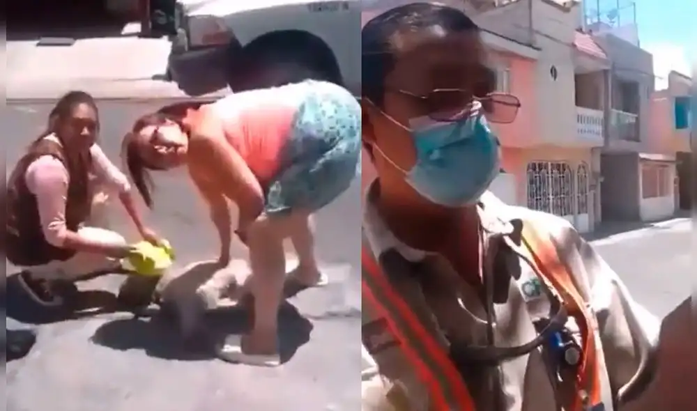 El vídeo de la agresión a Pucca se hizo viral en las redes sociales. Foto: Datanoticias El vídeo de la agresión a Pucca se hizo viral en las redes sociales. Foto: Datanoticias