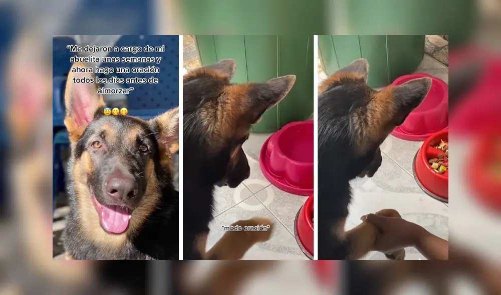 El video sumó casi 200.000 reproducciones en la red social. Foto: captura de TikTok