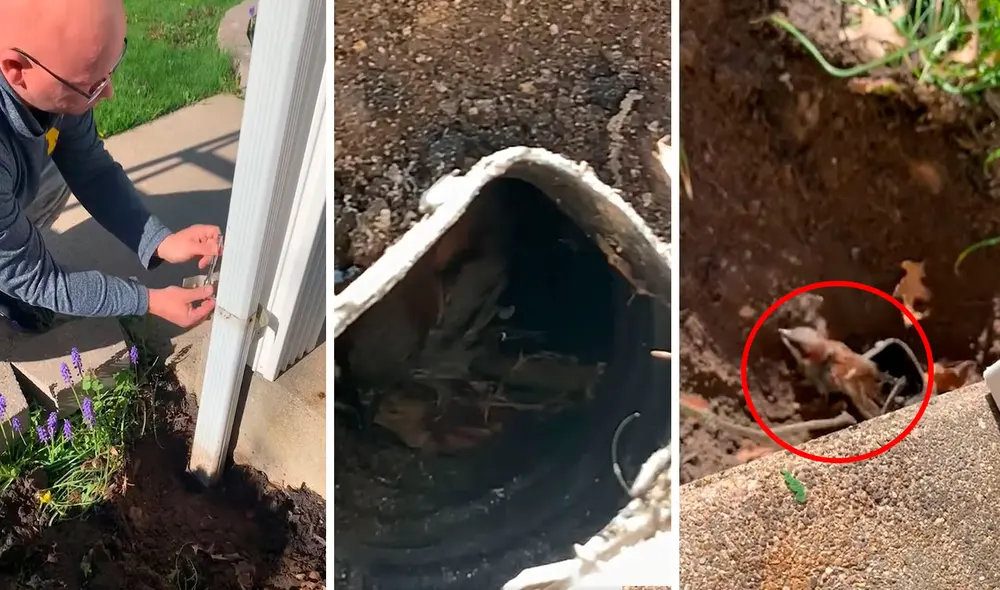 Un hombre revisó el sistema de desagüe instalado en su casa para solucionar un problema y se llevó una sorpresa. Foto: captura de YouTube