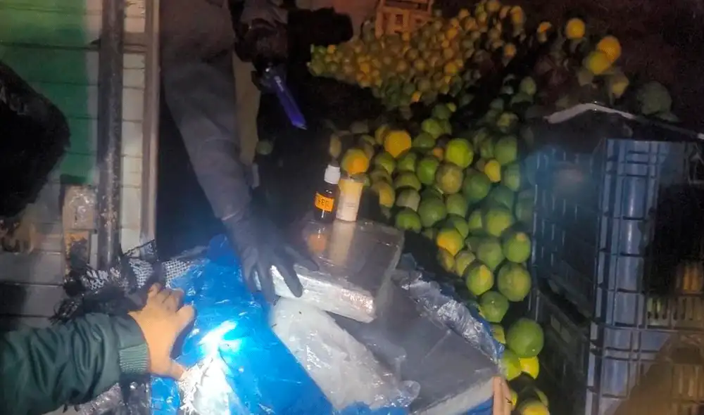 El chofer y su copiloto fueron detenidos y trasladados a la sede de la Dirección Antidrogas, en Lima. Foto: LR