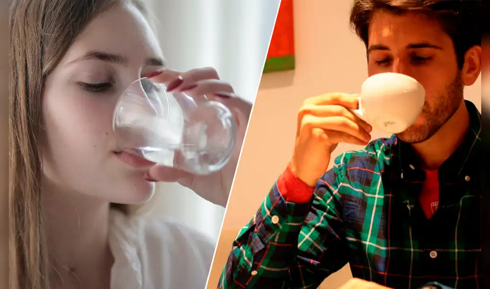 De acuerdo a estudios realizados en Harvard, existen otros líquidos que ayudan a mantener un buen estado de salud. Foto: composición LR/Fundación Aquae