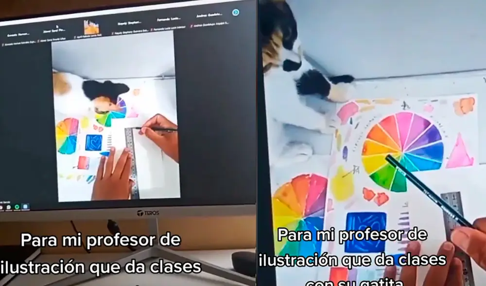 El felino intentaba acercarse al trabajo que realizaba su amo en sus clases virtuales. Foto: captura de TikTok El felino intentaba acercarse al trabajo que realizaba su amo en sus clases virtuales. Foto: captura de TikTok