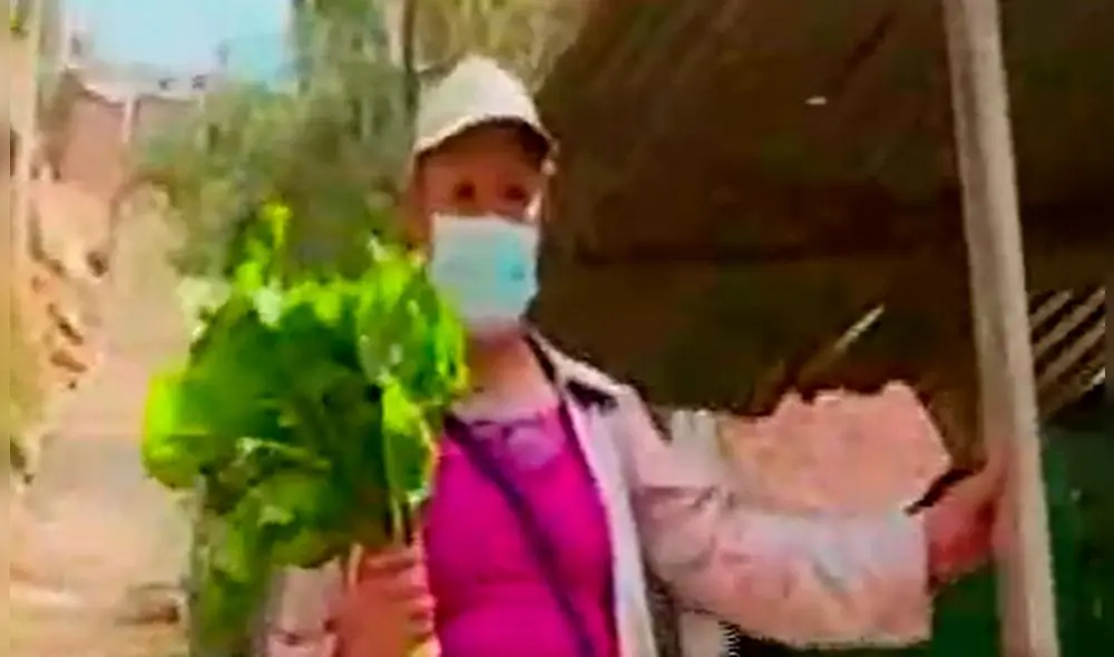 En total, 14 vecinas han optado por tener sus propios bio huertos. Foto: captura de Latina