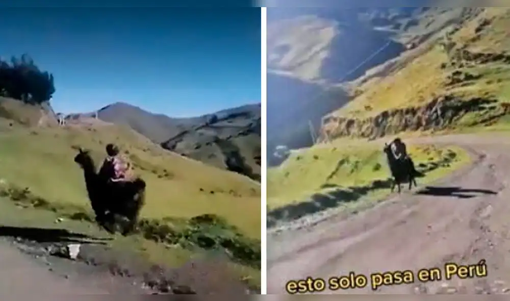 El clip viral obtuvo más de 120.000 reproducciones en la red social. Foto: captura de TikTok El clip viral obtuvo más de 120.000 reproducciones en la red social. Foto: captura de TikTok