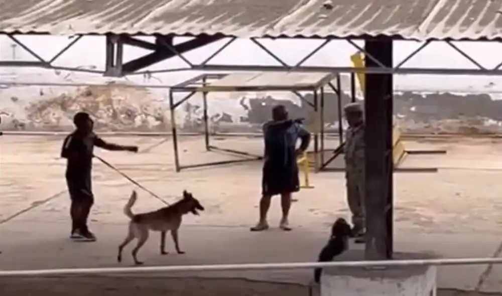 El regidor de la Municipalidad de Lima, Carlo Angeles, fue quien denunció este hecho por medio de su cuenta de Twitter. Foto: captura Twitter El regidor de la Municipalidad de Lima, Carlo Angeles, fue quien denunció este hecho por medio de su cuenta de Twitter. Foto: captura Twitter