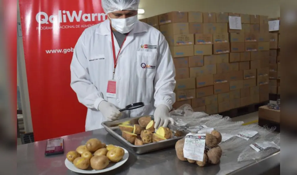 La distribución del tubérculo en las 6 localidades se iniciará en la tercera entrega. Foto: Qali Warma La distribución del tubérculo en las 6 localidades se iniciará en la tercera entrega. Foto: Qali Warma